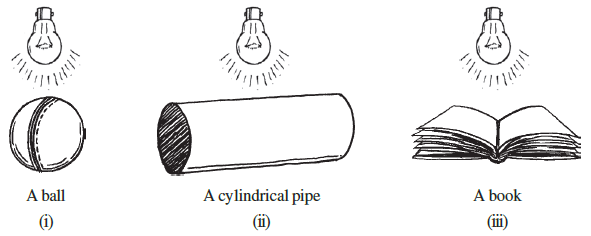Page 289 Chapter 15 Class 7th Non-Rationalised NCERT 2019-20